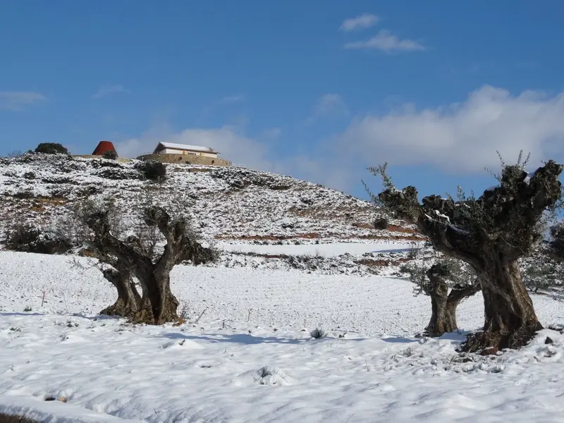 Imagen de Juan Carlos Sancha