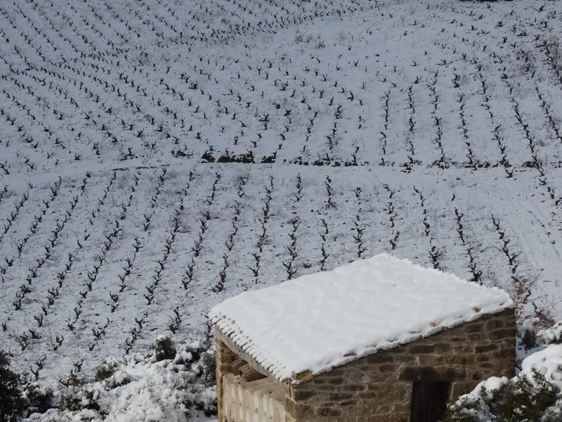 Imagen de Juan Carlos Sancha