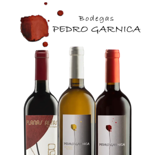 Pedro Garnica Mixed Selection