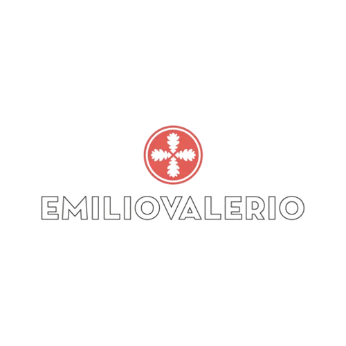 Logo of Bodega Emilio Valerio