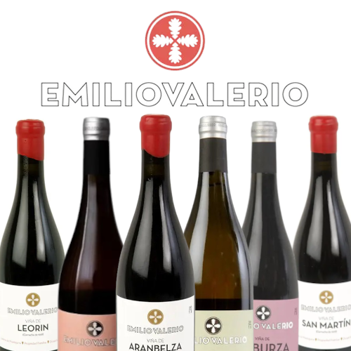 Emilio Valerio Mixed Selection