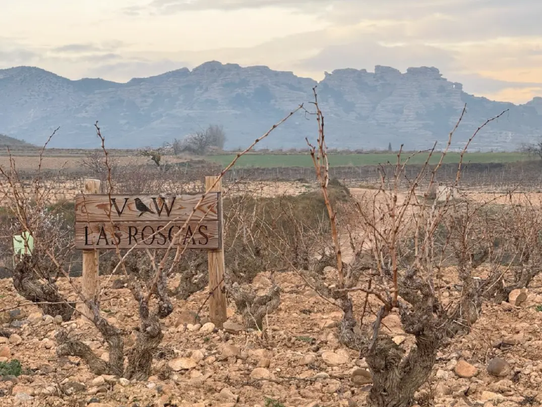 Imagen de Viña Zorzal Wines