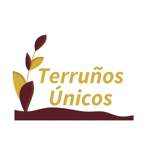 Inicio - Terruño Único